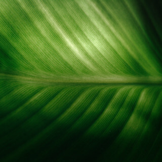 Gesund Grenzen setzen