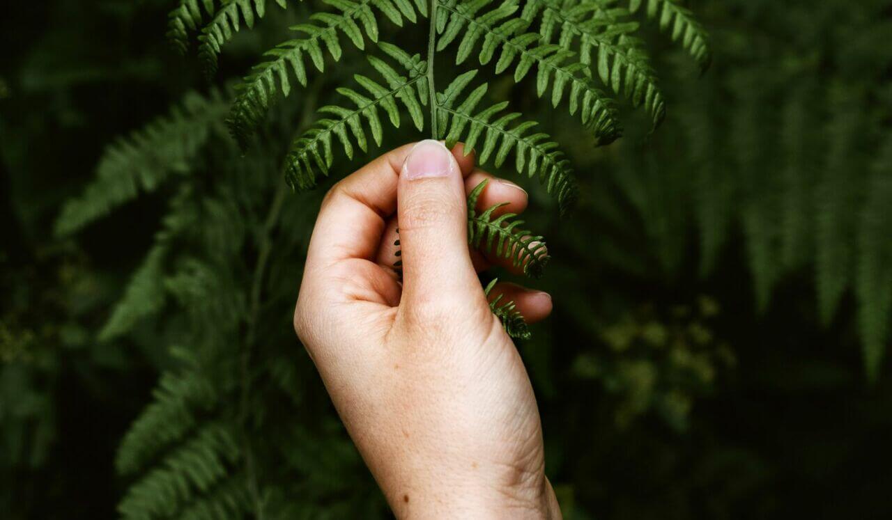 Here & Now Grounding