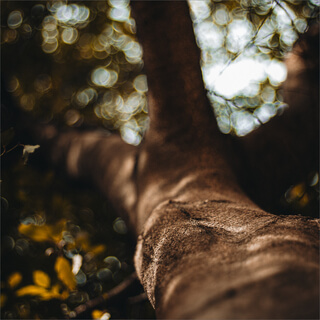 Learn The History And Teachings Of Kabbalah