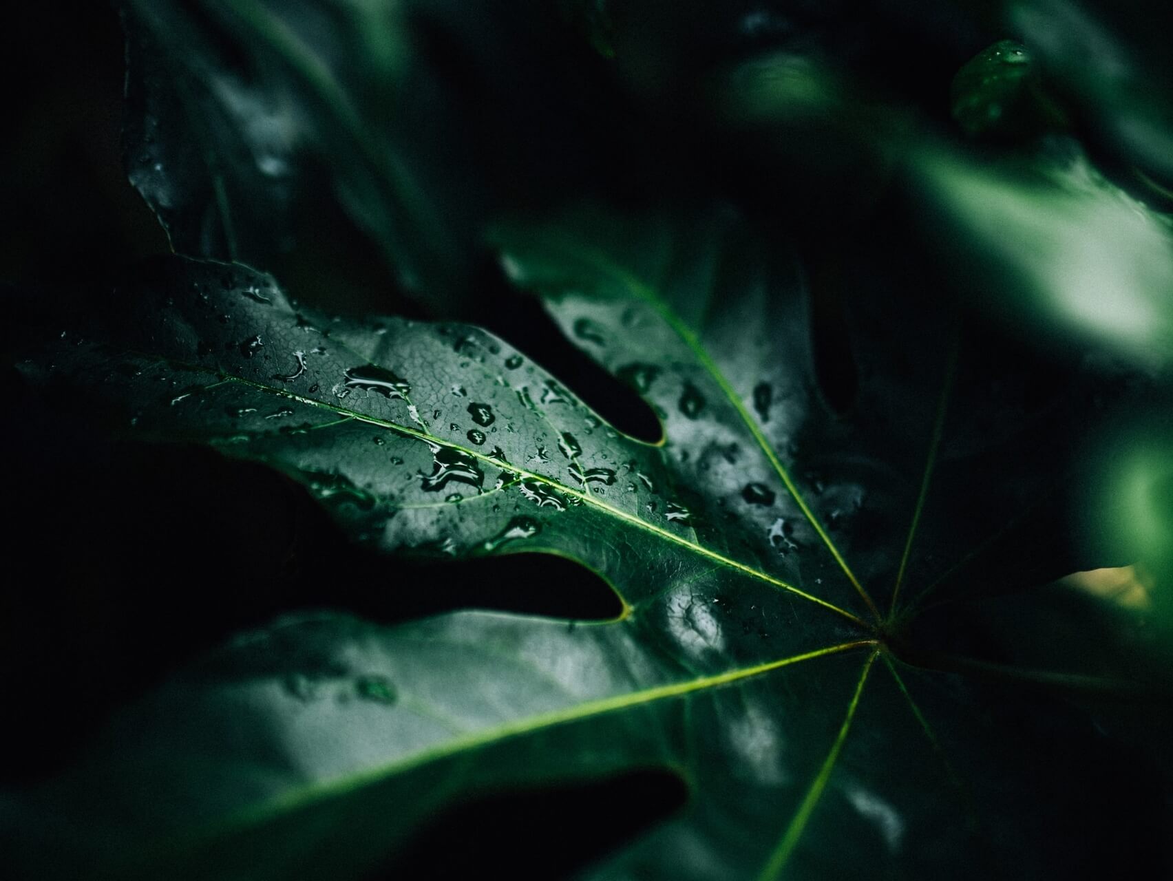 Christian Prayer For Deep Rest