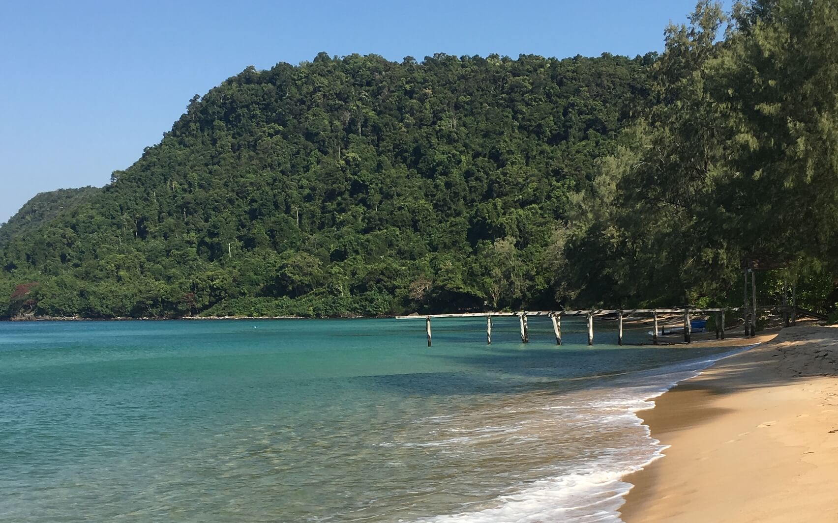 Morning Journal Check In