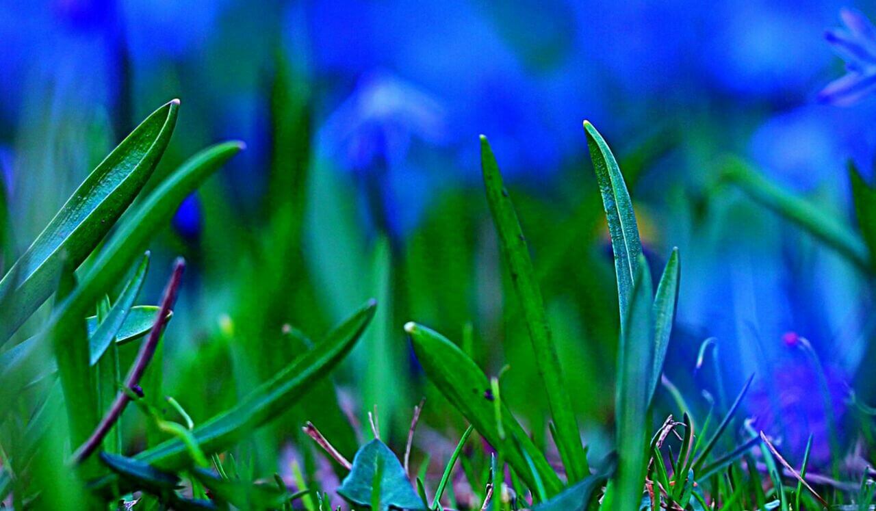 Bedtime Story: A New England Girlhood