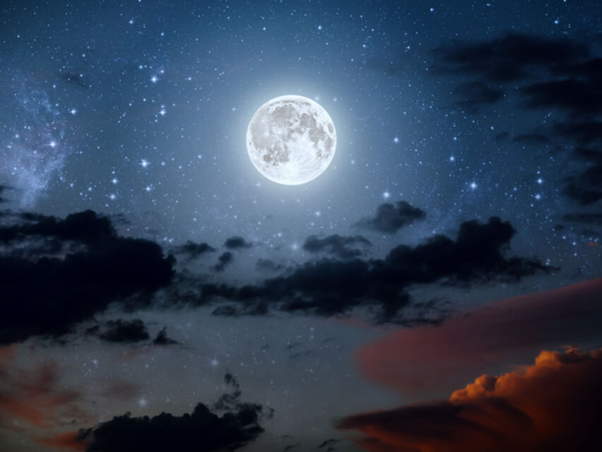 Journey To The Moon | Nicole Staples