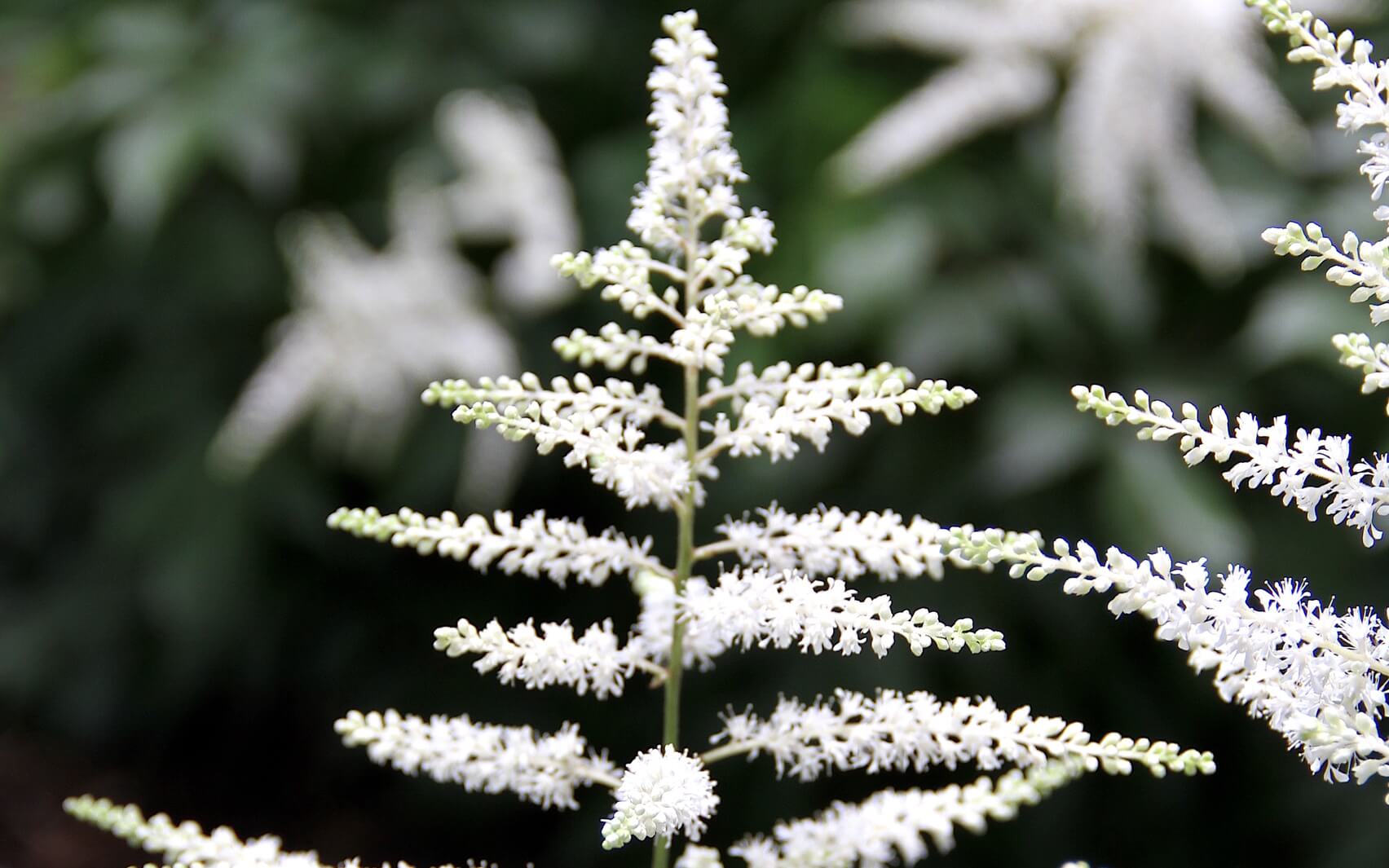 Tapping On Stress - EFT Meditation