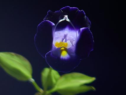 When Sadness Is Everywhere: Meditation For Emotional Pain