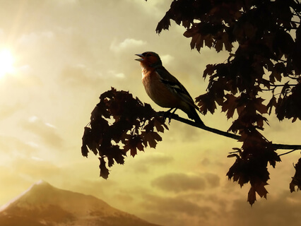 How Singing Can Boost Your Immune System - by Lyz Cooper: The British Academy of Sound Therapy (BAST)