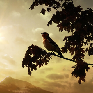 How Singing Can Boost Your Immune System