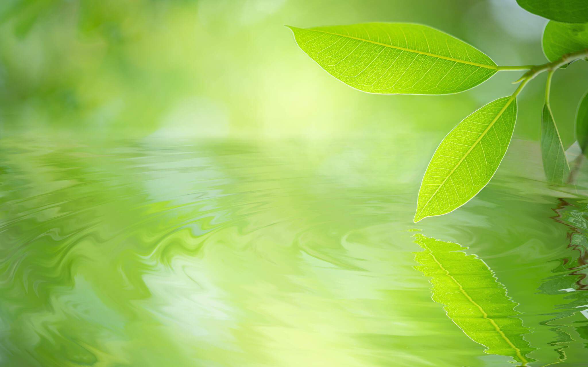 Space For A Decision