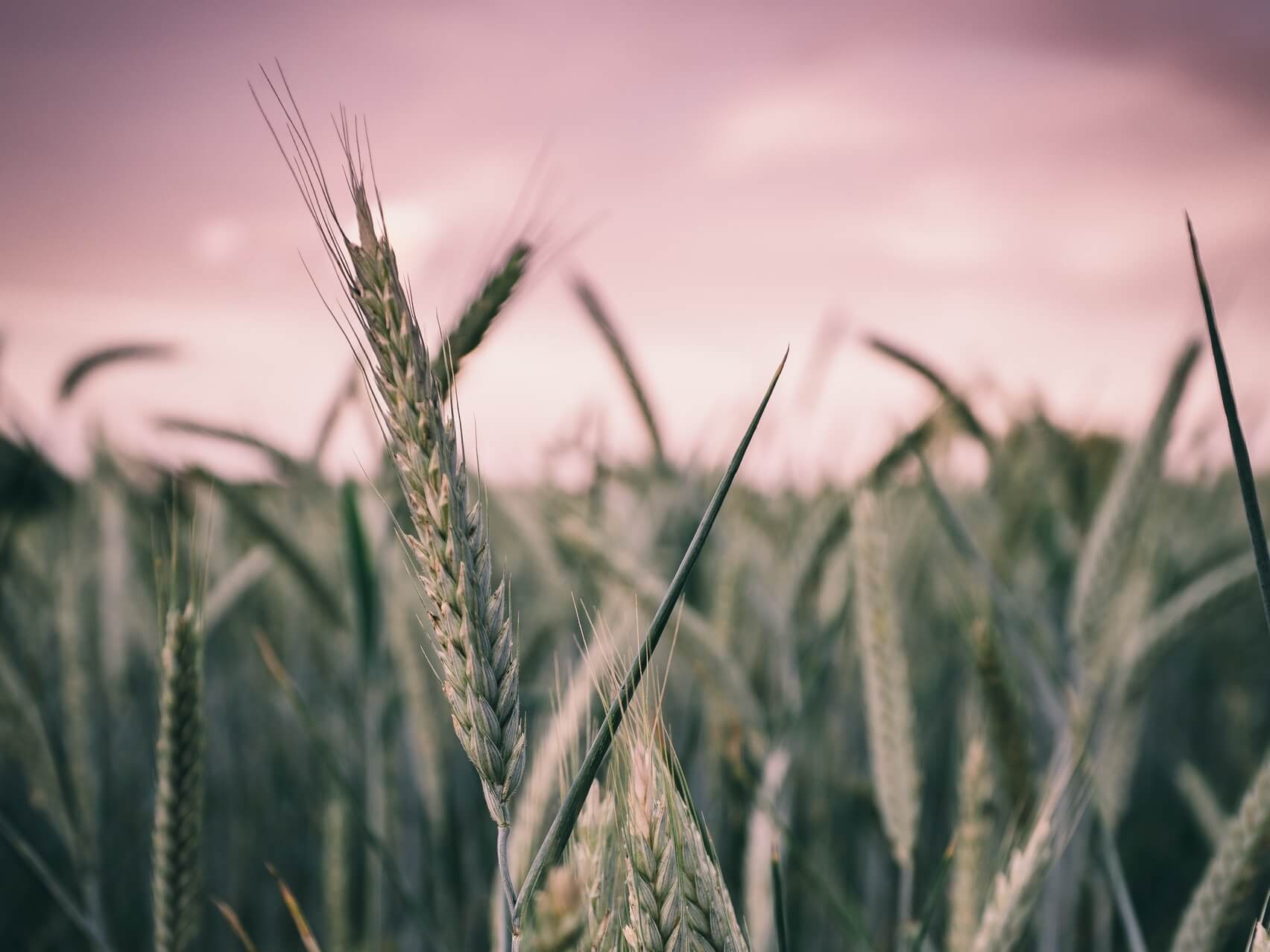 432Hz Miracle Tone: Raise Positive Vibrations