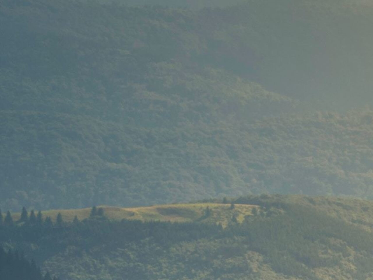 Pausa de Qualidade - "Apenas Ser"