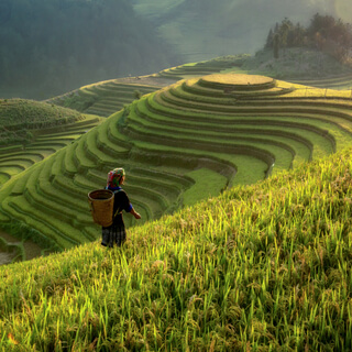 Meditation To Calm Anxiety | Lydia Grace