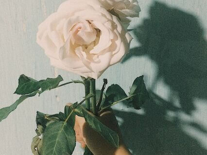 Moving Gracefully Through Grief - by Alexandra Fleder