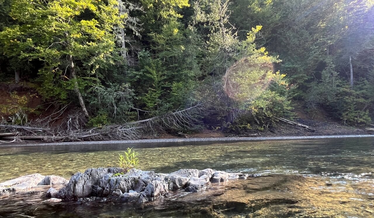 Une méditation Metta ou Méditation de la bienveillance