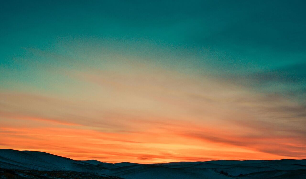 Nervous System Reset