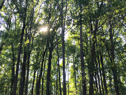 Free Yourself From Stress & Fear - by Yonah Levy