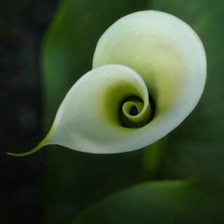 Mindful Bites: Insights For Enriching Your Meditation Practice