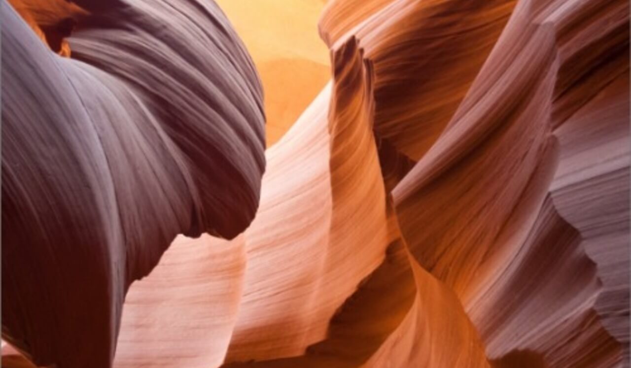 Befriending Body & Breath Through Yoga