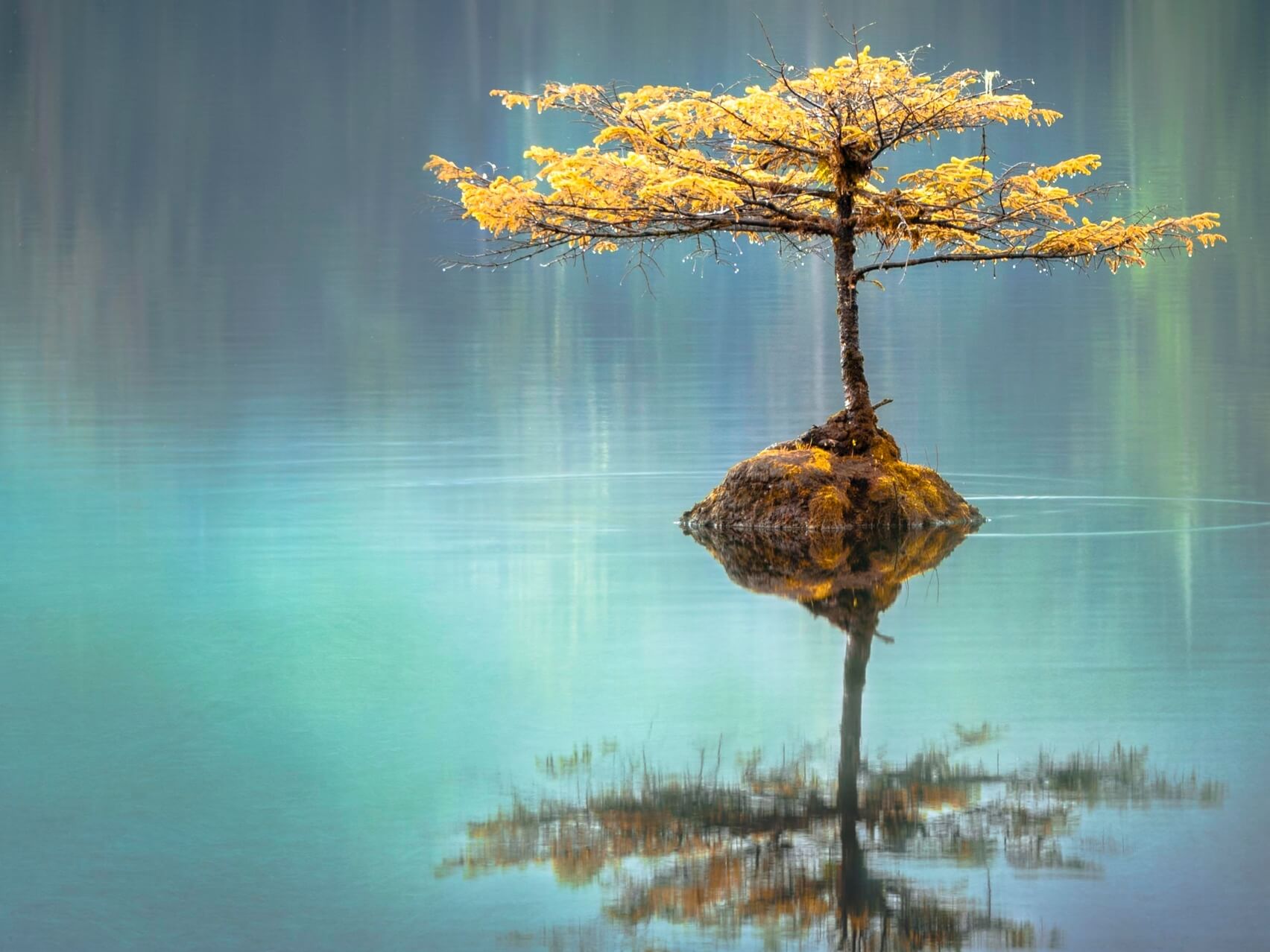 Acceptance - Week 2 Series On Principles Of ACT Therapy