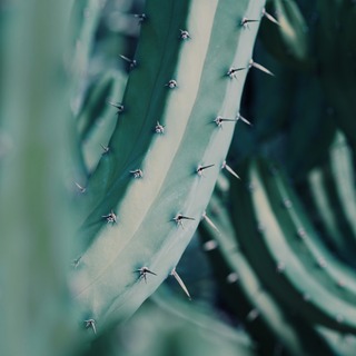 Hochsensibel und trotzdem mittendrin