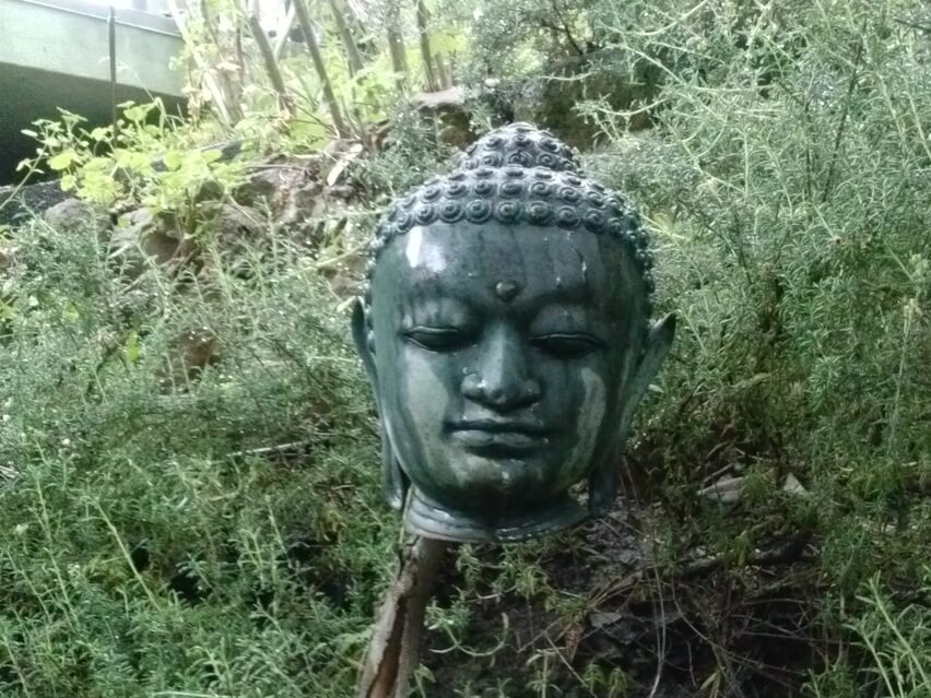 Buddha Breathing  Brian Hyman, Insight Timer