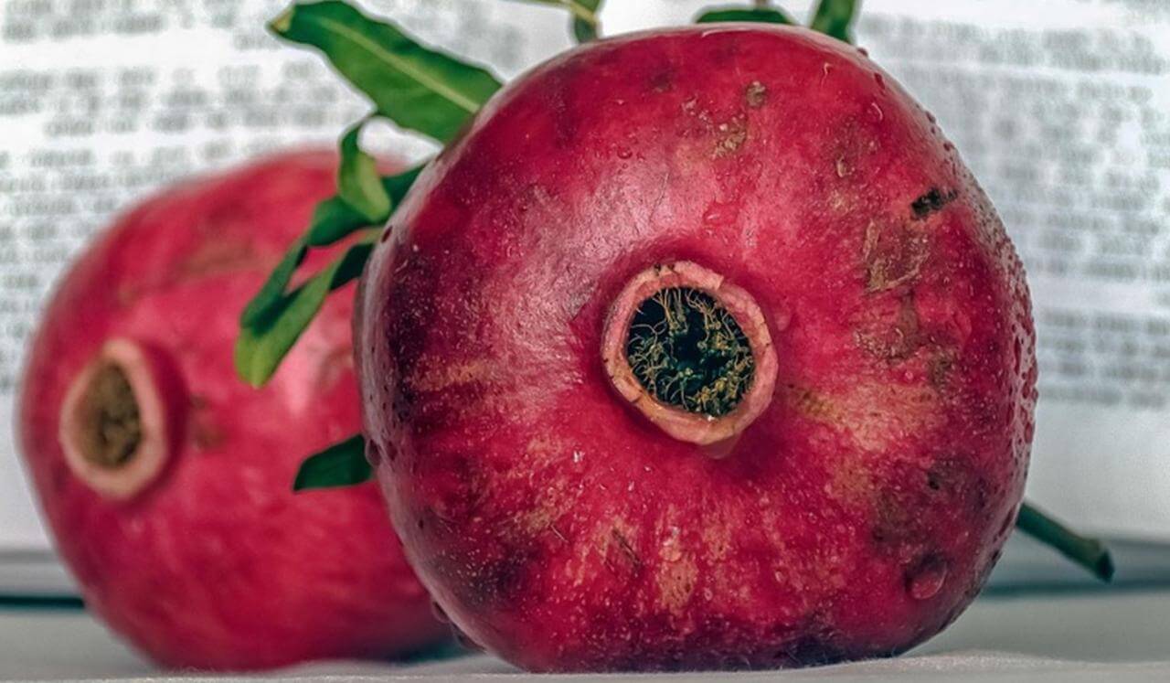 Ancestral Reverence Meditation: Healing Across Generations