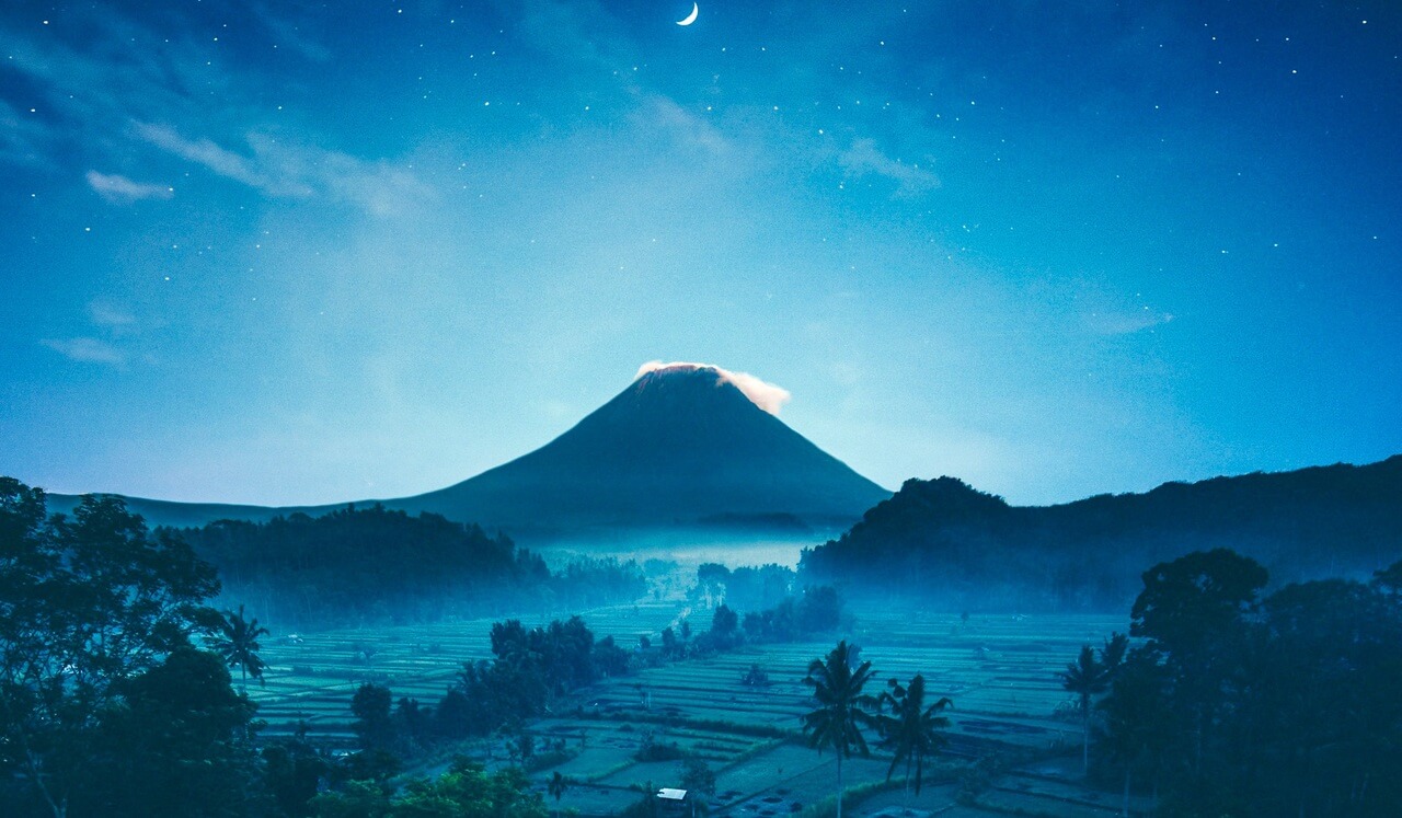 Day 3: Dreamy Sleep Story - The Badger's Warm Welcome