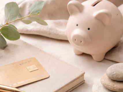 The Spending Reset: Rewiring Emotional & Financial Patterns - by Zuzana R.