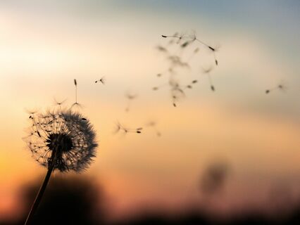 Letting Go Of Regret - by Vivienne Edgecombe