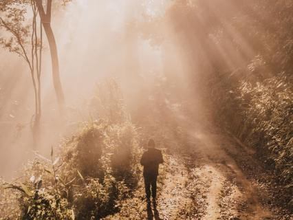 Sortir du mode survie : retrouver la sécurité intérieure
