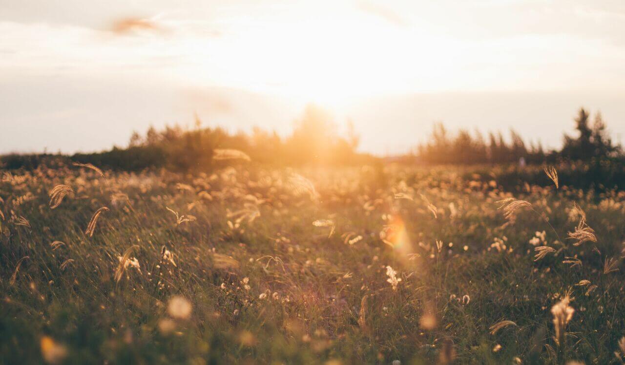 Morning Meditation For Hope, Light And Positivity