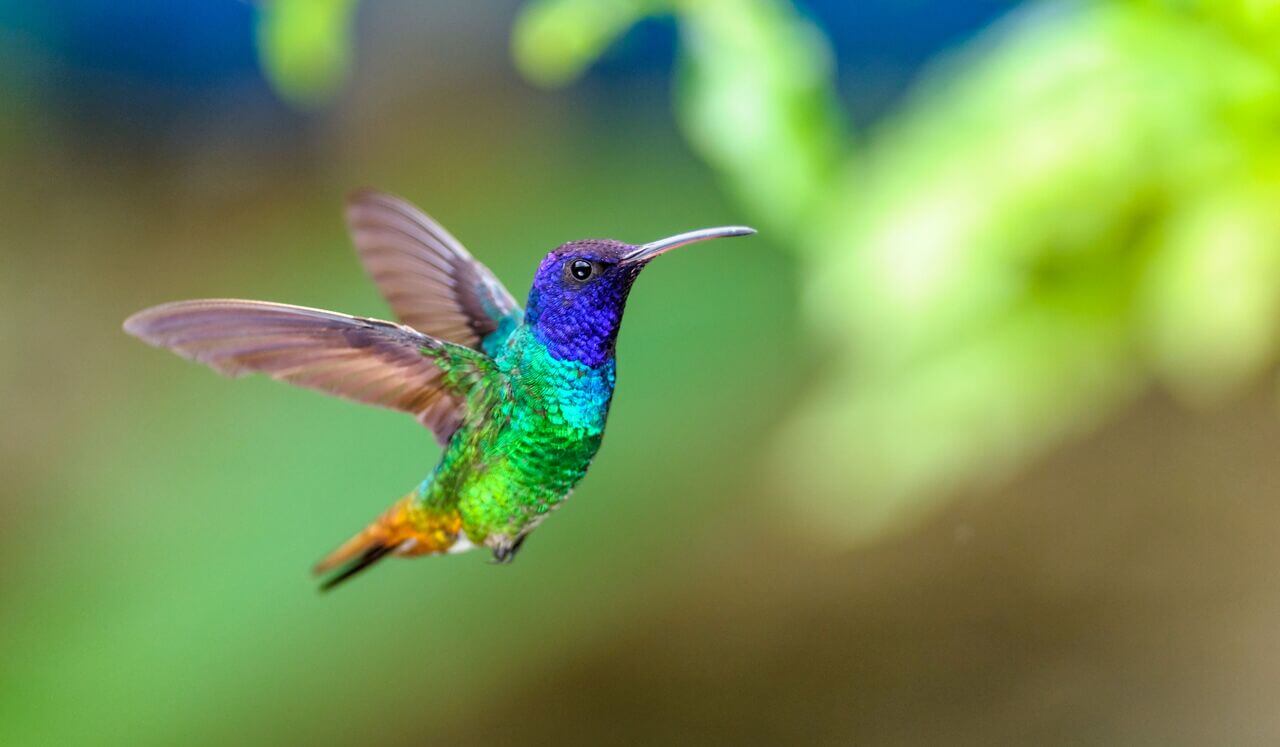 Deep Sleep, Affirmations: Inner Power, Confidence & Courage