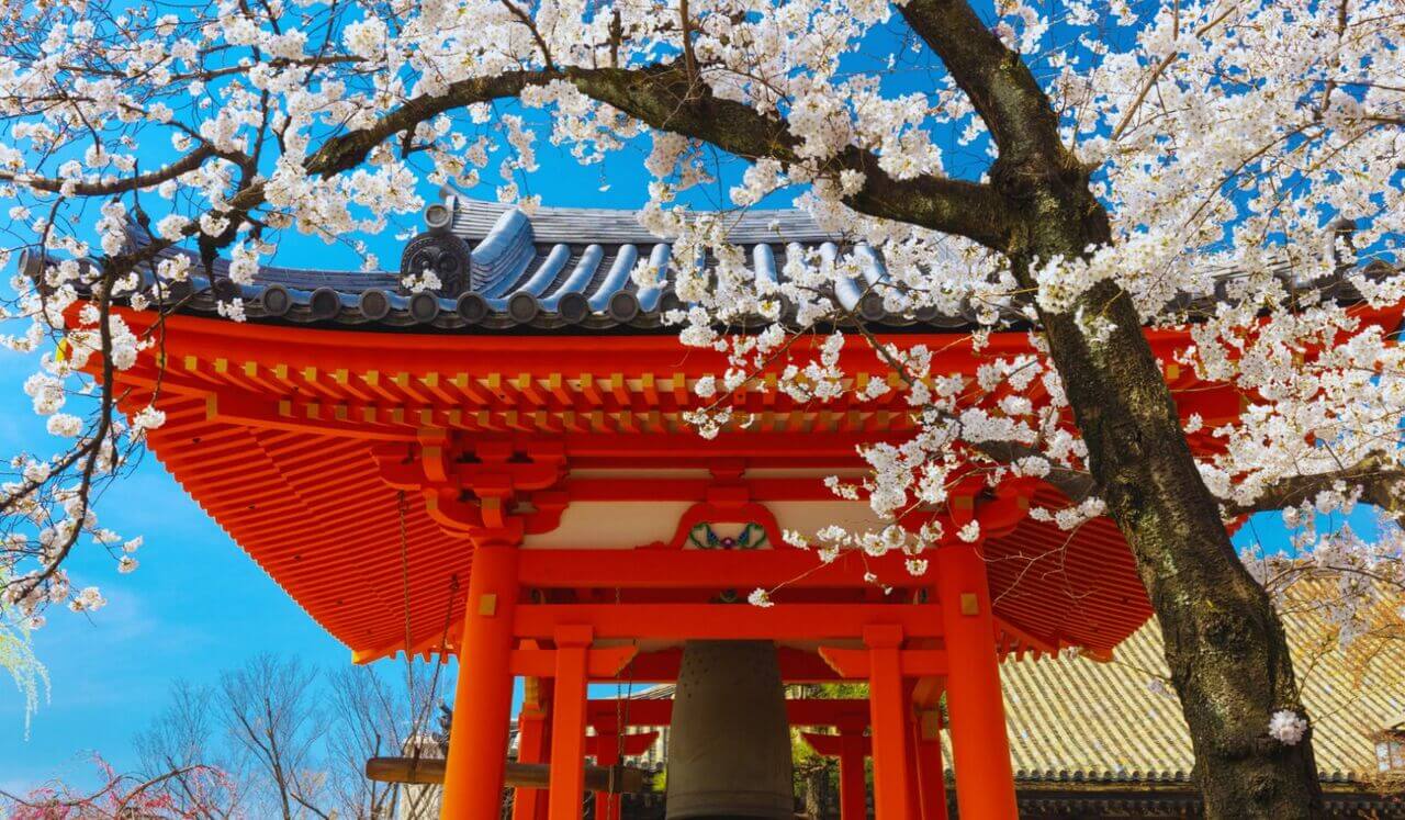 Méditation Pour Le Sommeil : Rêves Zen