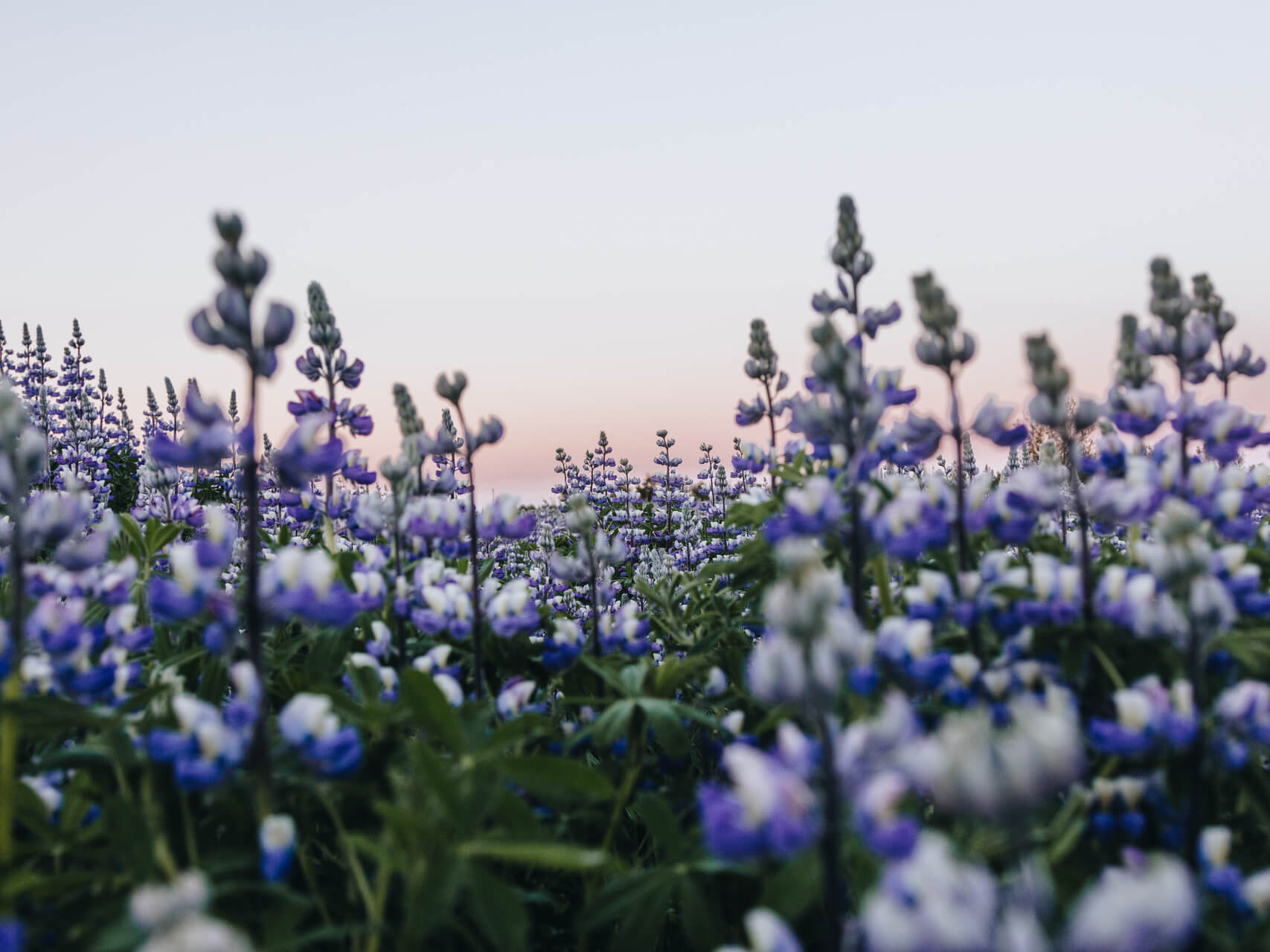 Progressive Muscular Relaxation 