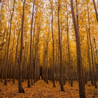 Достижение Изобилия С Помощью Духовности