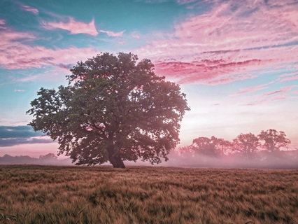 Aura Rebirth: A Journey Of Energetic Renewal - by Sylvia & Santiago Garza