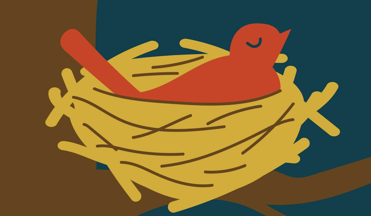 Build Yourself a Mindful-Nest