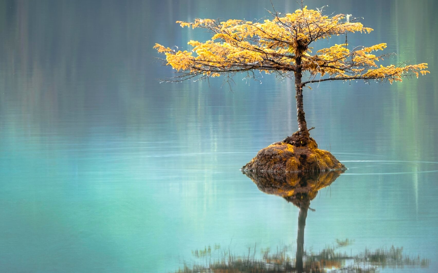 Meditation For Grief & Loss