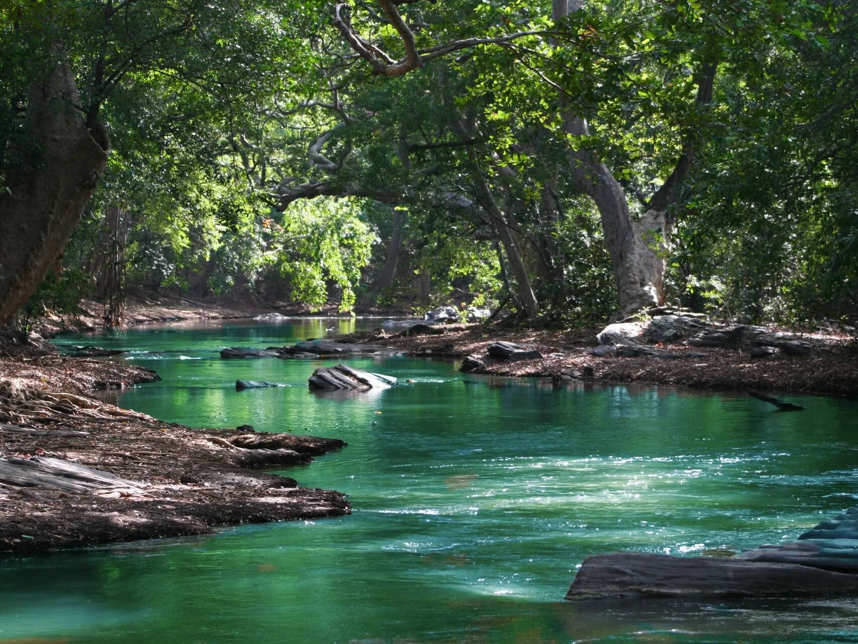 Apaiser la Culpabilité