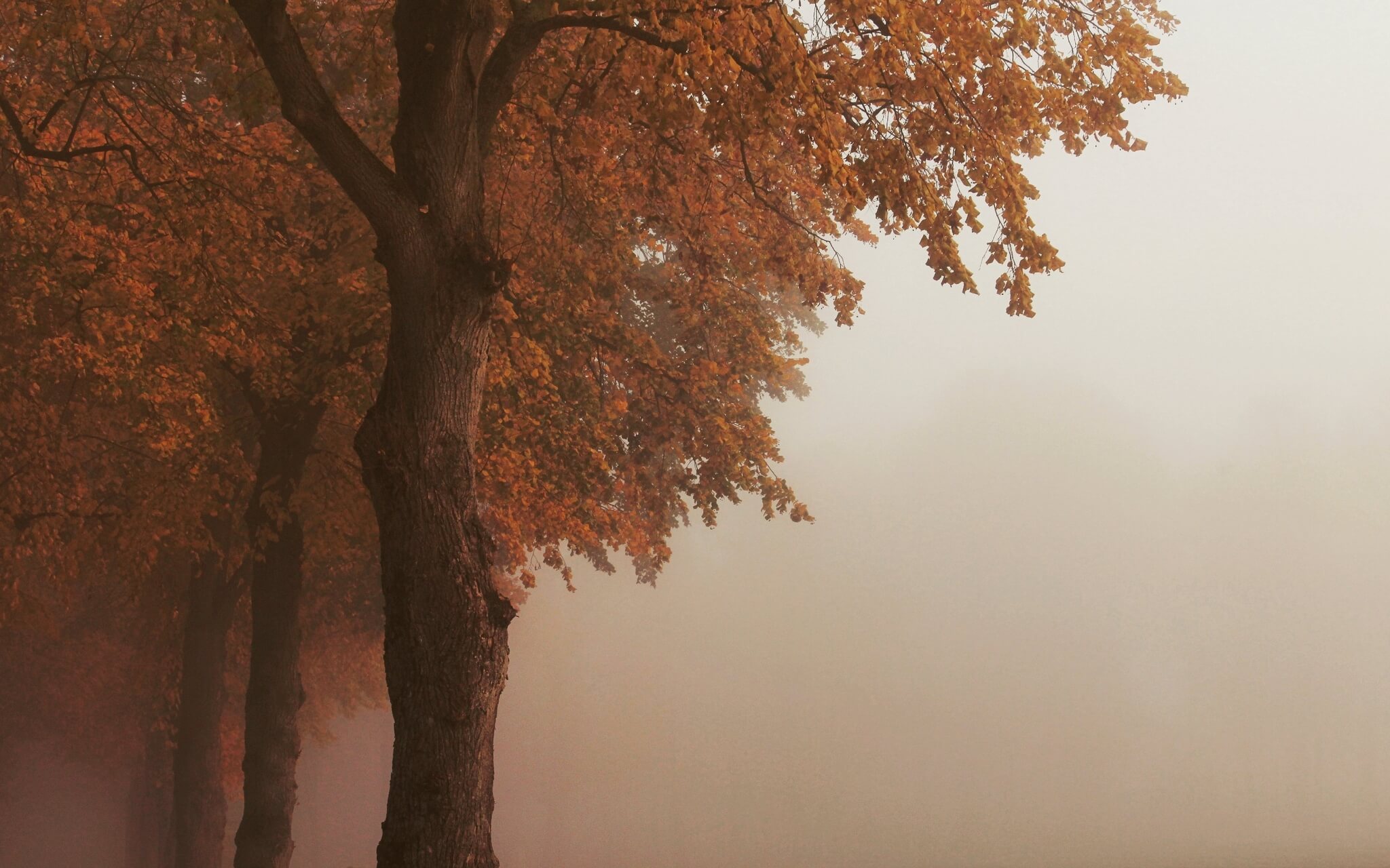 Grief Clearing Calming Music