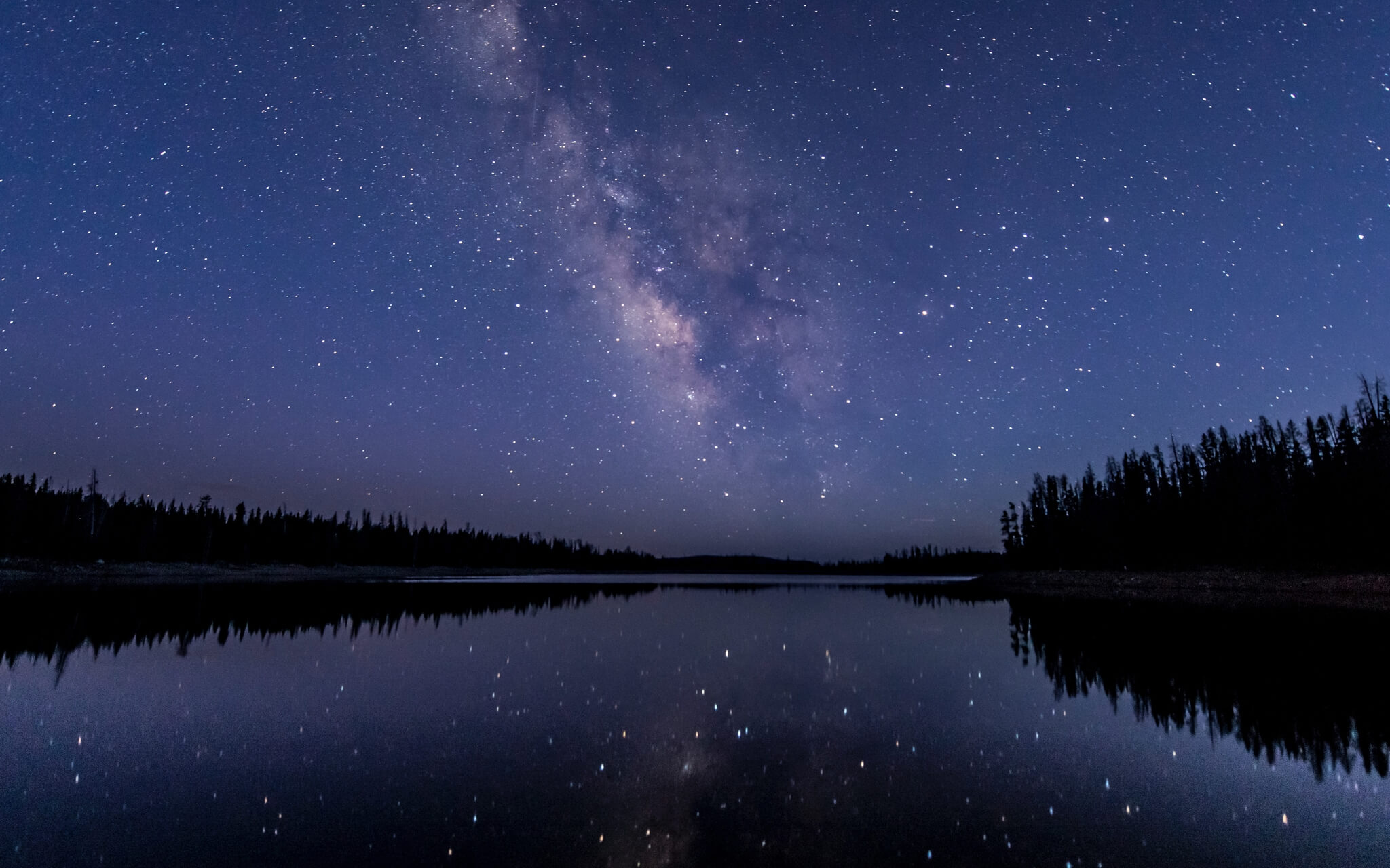 Psychological Resilience