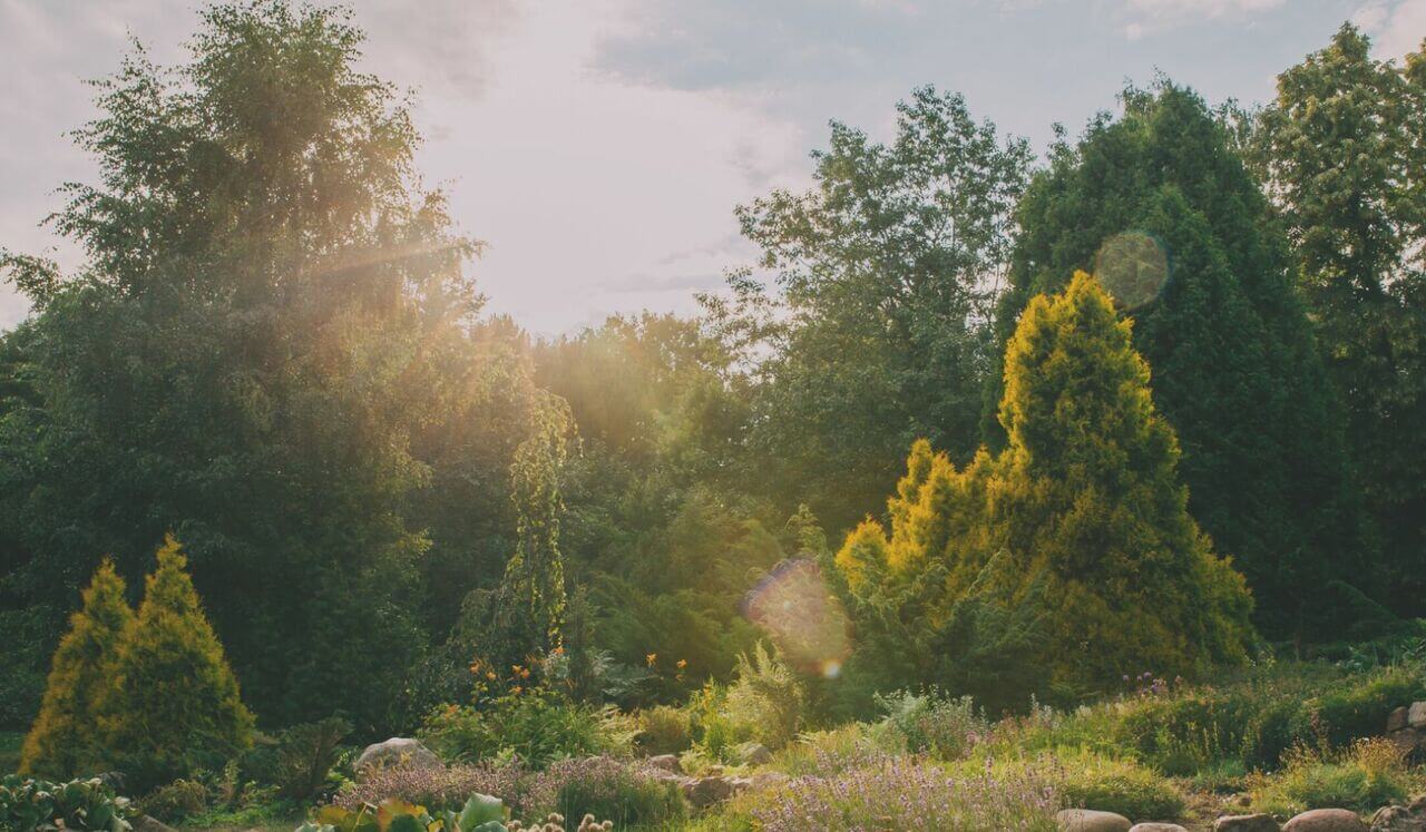 Nurturing Self-Acceptance