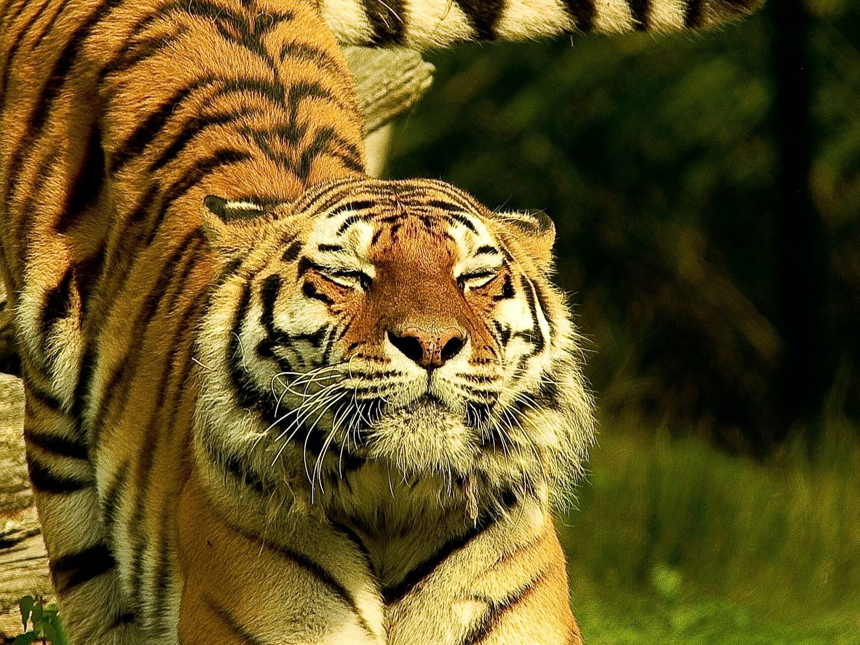 Relaxation Musculaire Progressive