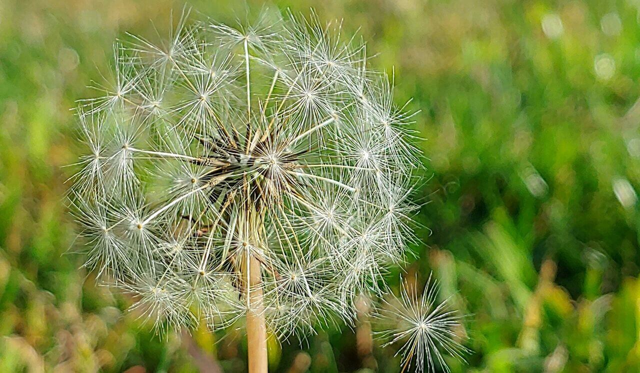 Cognitive Restructuring Part 1