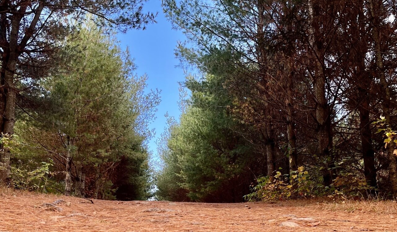 Muscler sa capacité attentionnelle