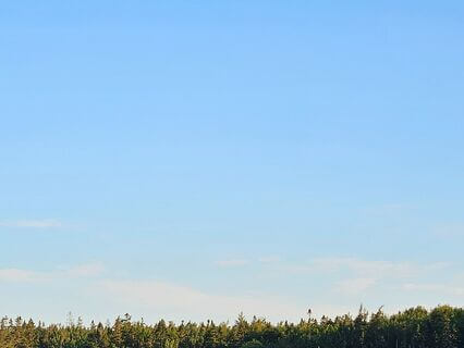 Interacting With Anxiety - by Bonnie Laufer