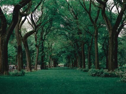 Letting The Air Out: A Guide To Redirect The Stigmatic Feeling Of Depression - by Sensei Paul David