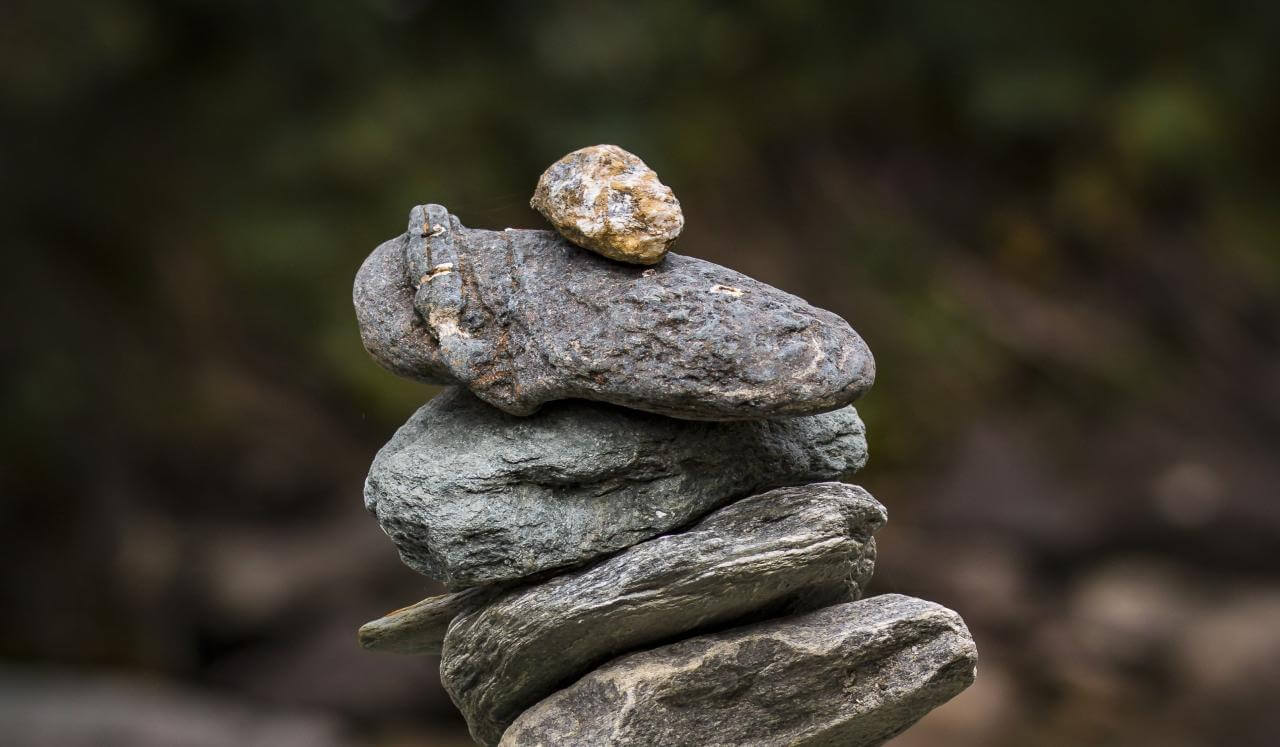 The Garden Of New Pathways