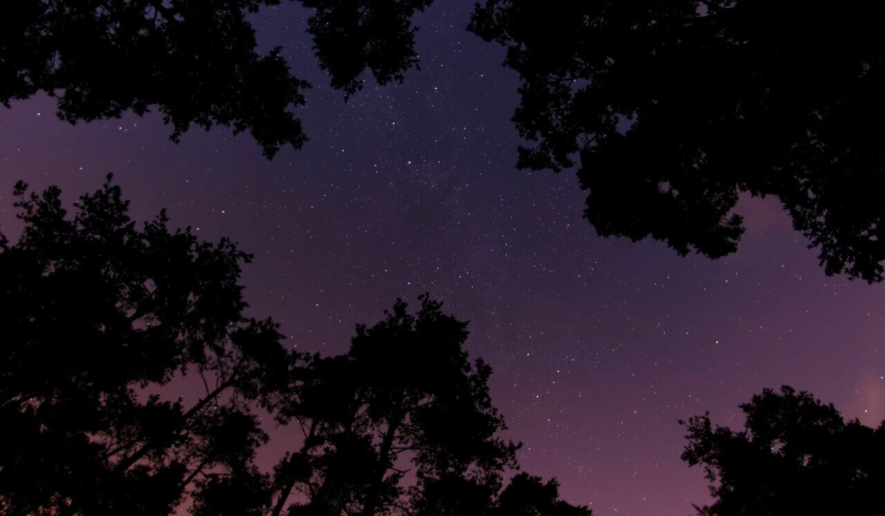 Handpan 1 Hour Tranquility Music "Starry Night"