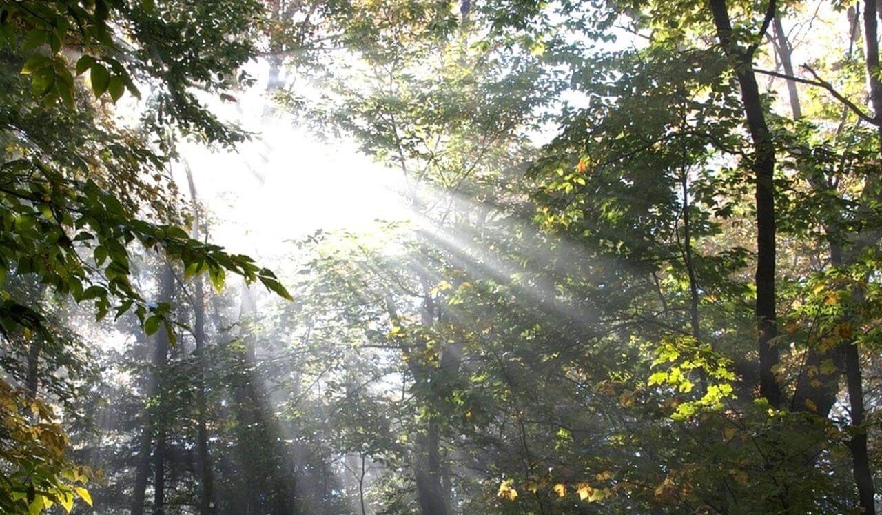 Sacred Presence: Silence That Breathes