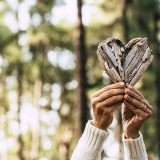 Walking the Ancient Path of Yoga by Lila Lolling